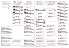 Cinayet Davası Şema